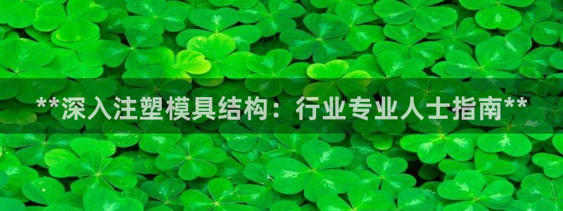 太阳集团董事长的儿子：**深入注塑模具结构：行业专业人士指南**
