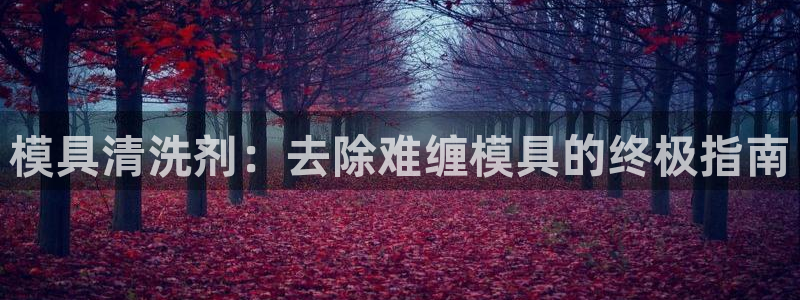 太阳集团电子游戏登录：模具清洗剂：去除难缠模具的终极指南