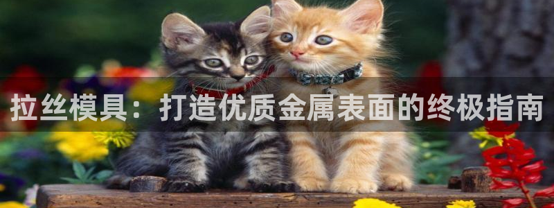 太阳集团城网官方入口：拉丝模具：打造优质金属表面的终极指南