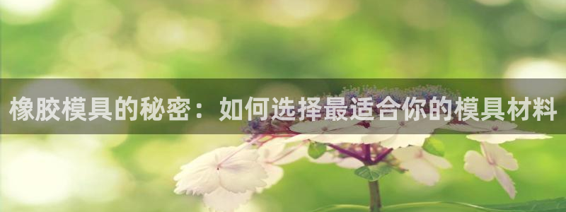 太阳gg打不开了吗：橡胶模具的秘密：如何选择最适合你的模具材料