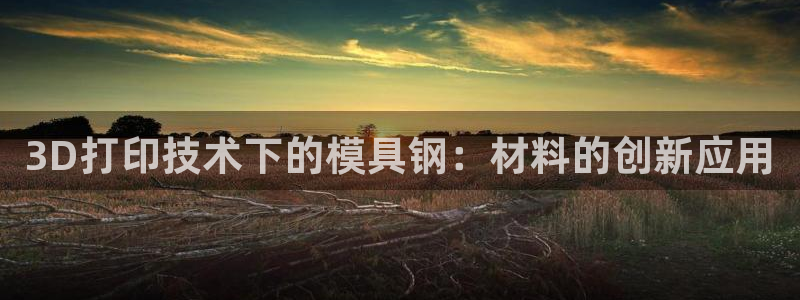 太阳诚集团是干什么的：3D打印技术下的模具钢：材料的创新应用