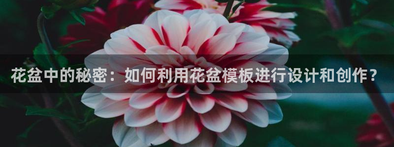 太阳集团在国内三个分公司：花盆中的秘密：如何利用花盆模板进行设计和创作？