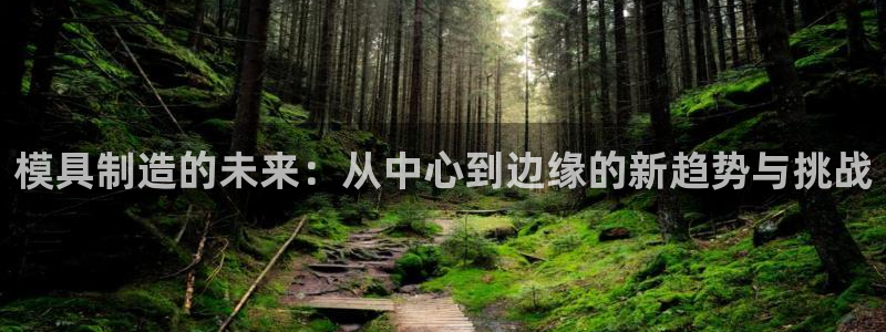 太阳诚集团是干什么的：模具制造的未来：从中心到边缘的新趋势与挑战