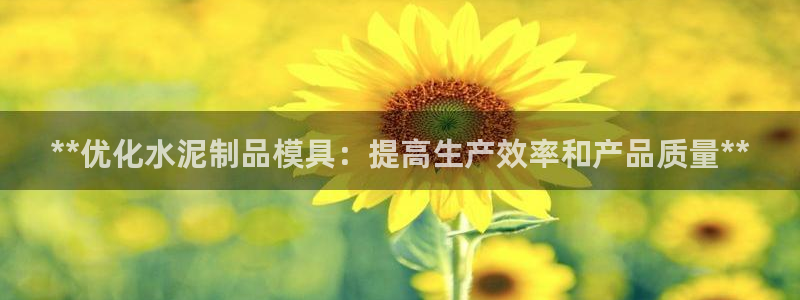 奥门太阳集团城：**优化水泥制品模具：提高生产效率和产品质量**