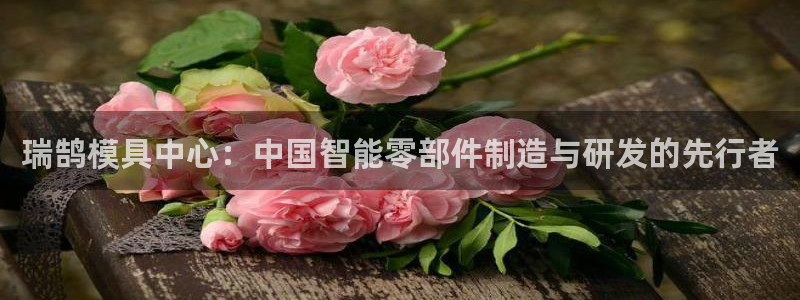 太阳集团官网：瑞鹄模具中心：中国智能零部件制造与研发的先行者