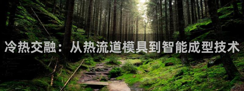 太阳老板身价：冷热交融：从热流道模具到智能成型技术