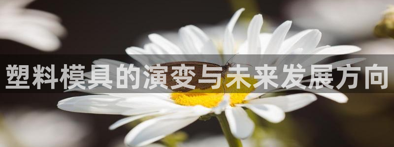 太阳app官网：塑料模具的演变与未来发展方向