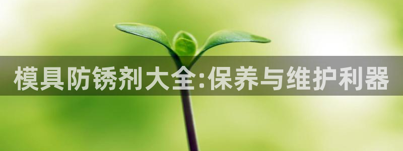 太阳gg会员登录：模具防锈剂大全:保养与维护利器