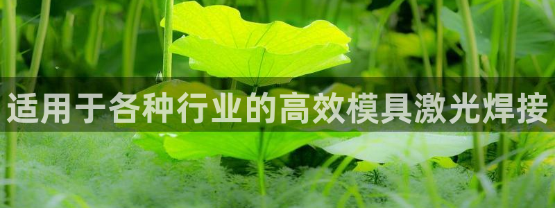 太阳商城贵宾会2017cm：适用于各种行业的高效模具激光焊接