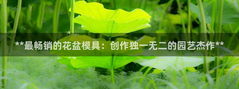 太阳集团股份有限公司：**最畅销的花盆模具：创作独一无二的园艺杰作**