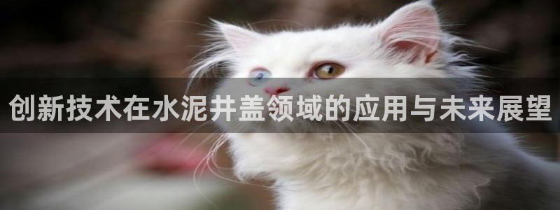 太阳成集团娱乐网站：创新技术在水泥井盖领域的应用与未来展望