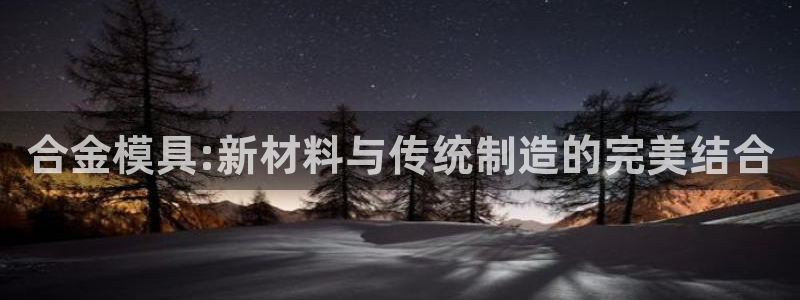 太阳成集团娱乐：合金模具:新材料与传统制造的完美结合