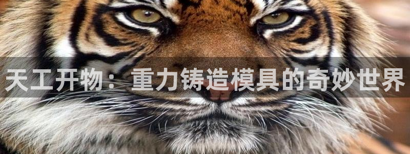 太阳成集团tyc234cc[主页]网址：天工开物：重力铸造模具的奇妙世界