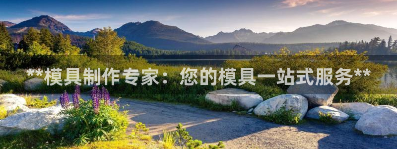 太阳app网页版：**模具制作专家：您的模具一站式服务**