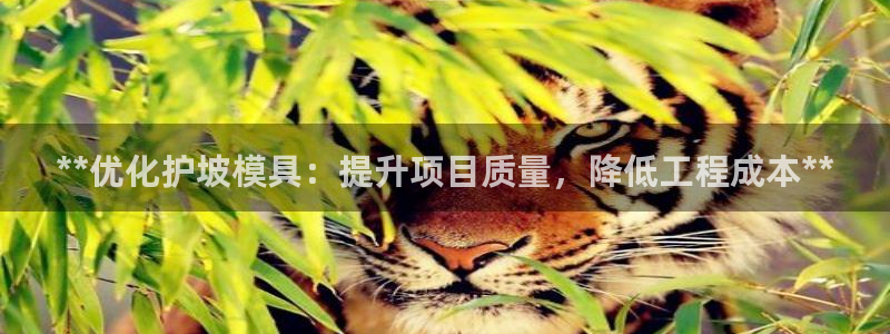 太阳集团tcy8722查封了：**优化护坡模具：提升项目质量，降低工程成本**
