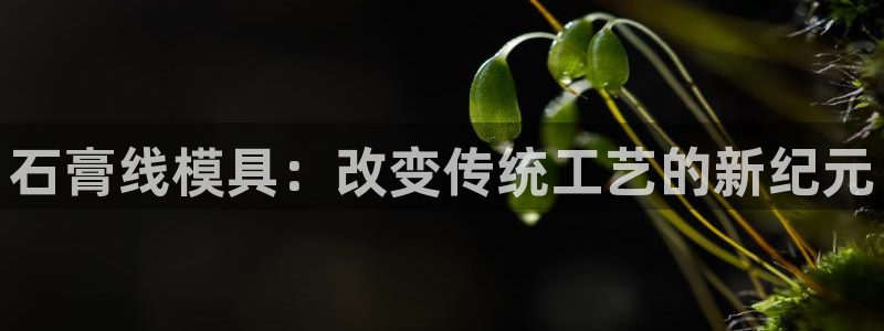 太阳http下载：石膏线模具：改变传统工艺的新纪元