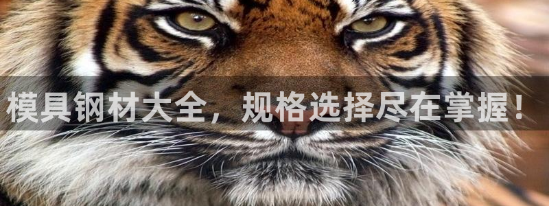 太阳成集团没有赌业吗：模具钢材大全，规格选择尽在掌握！