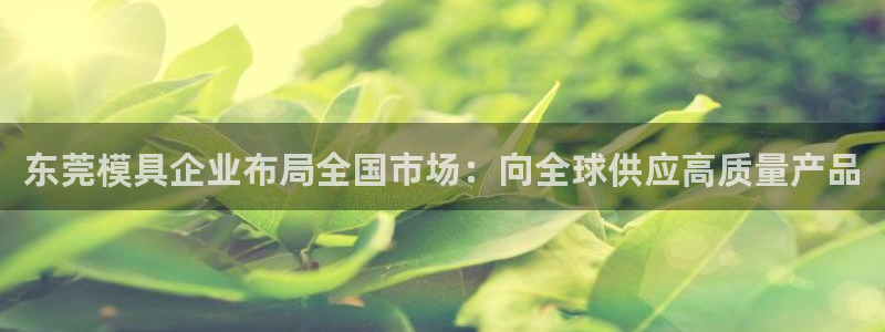 太阳集团app首页：东莞模具企业布局全国市场：向全球供应高质量产品