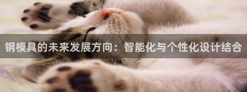 太阳成集团tyc122cc客服：钢模具的未来发展方向：智能化与个性化设计结合