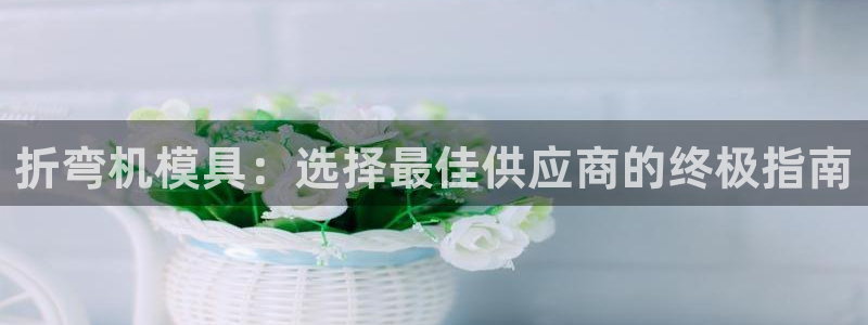 122cc太阳集成游戏官方网站版：折弯机模具：选择最佳供应商的终极指南