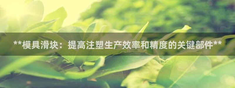 太阳成集团洗米华：**模具滑块：提高注塑生产效率和精度的关键部件**