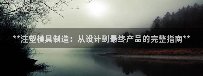 古天乐太阳网城：**注塑模具制造：从设计到最终产品的完整指南**