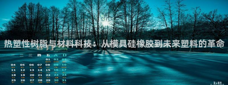 2007so太阳集团下载：热塑性树脂与材料科技：从模具硅橡胶到未来塑料的革命
