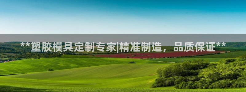 太阳成集团tyc234cc古天乐下载：**塑胶模具定制专家|精准制造，品质保证**