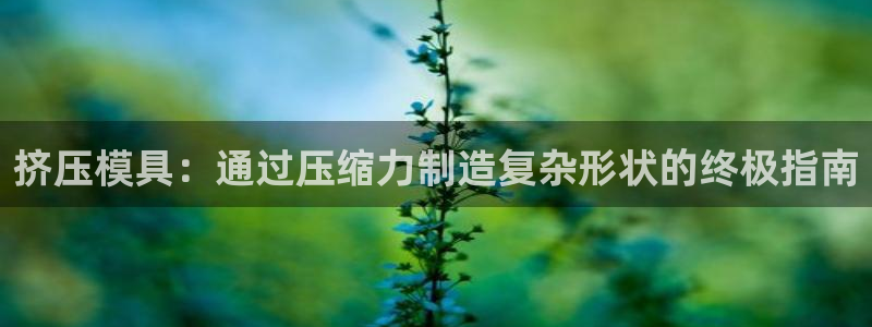 太阳游戏盒子