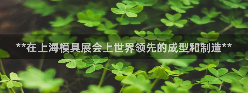 太阳成集团tyc7111cc的研发体系：**在上海模具展会上世界领先的成型和制造**
