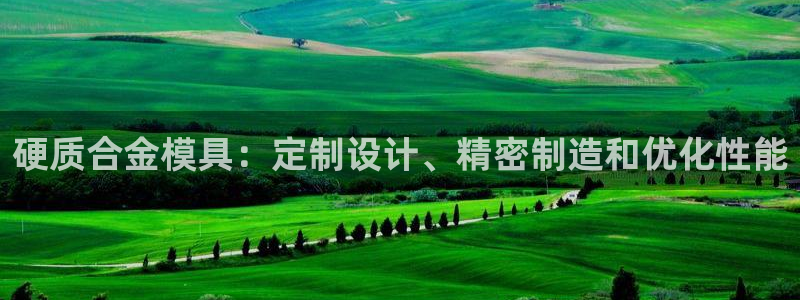 太阳集团城welcome：硬质合金模具：定制设计、精密制造和优化性能