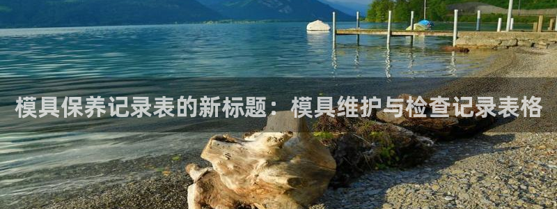 太阳电竞：模具保养记录表的新标题：模具维护与检查记录表格