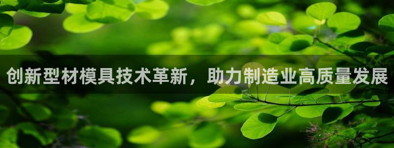 太阳集团游戏城(138)官方网址：创新型材模具技术革新，助力制造业高质量发展