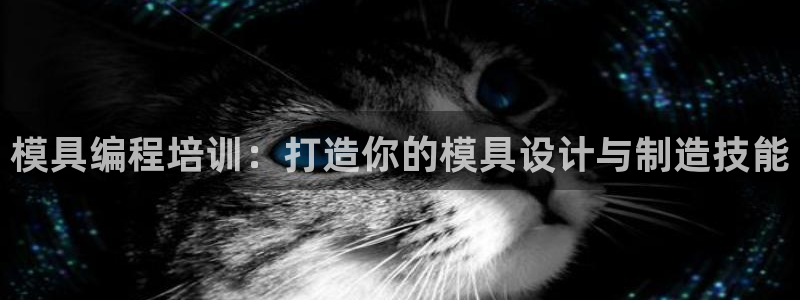 太阳集团所有网址16877官网：模具编程培训：打造你的模具设计与制造技能