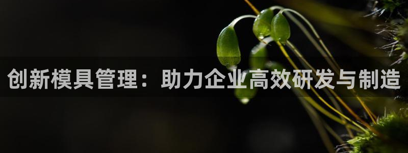 太阳集团所有网址168：创新模具管理：助力企业高效研发与制造