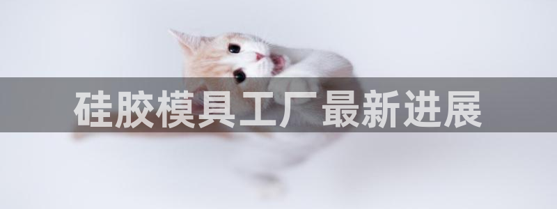 太阳gg注册地址：硅胶模具工厂最新进展