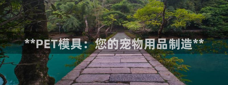 太阳诚集团：**PET模具：您的宠物用品制造**