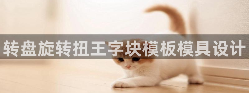 太阳集团所有网址16877：转盘旋转扭王字块模板模具设计
