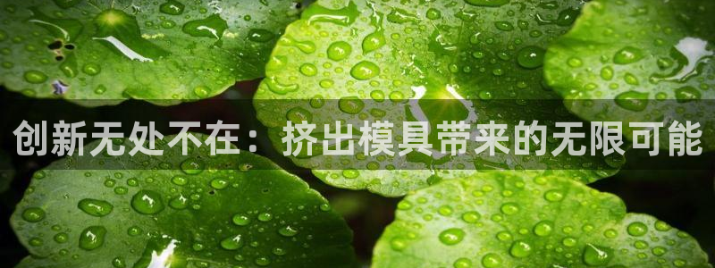 太阳国际游戏平台：创新无处不在：挤出模具带来的无限可能