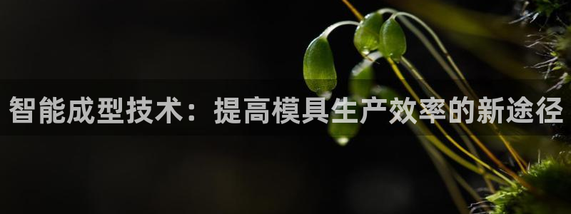 澳门太阳集团与古天乐：智能成型技术：提高模具生产效率的新途径