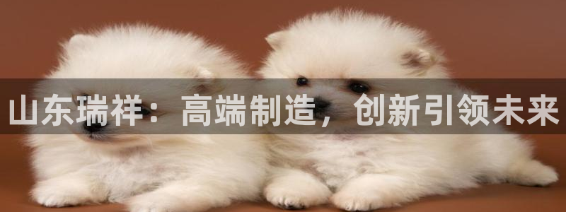 太阳集团游戏