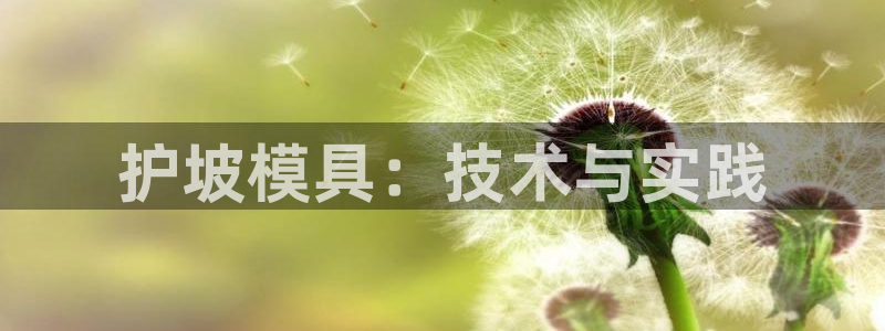 太阳1城集团网址是多少：护坡模具：技术与实践