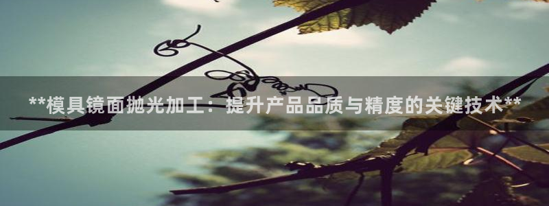 太阳集团188网站：**模具镜面抛光加工：提升产品品质与精度的关键技术**