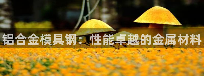太阳集团app十佳平台有哪些：铝合金模具钢：性能卓越的金属材料