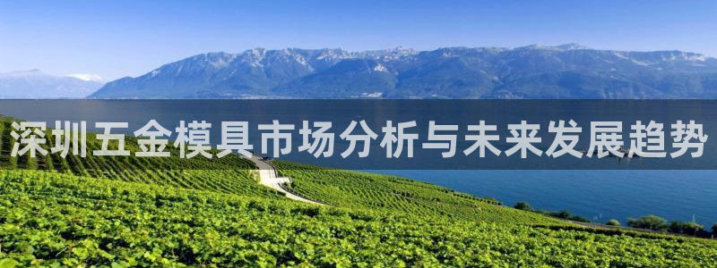 太阳成集团APP：深圳五金模具市场分析与未来发展趋势