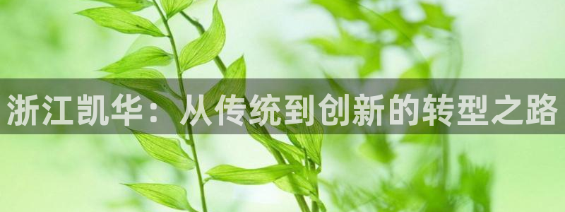 太阳成集团下载：浙江凯华：从传统到创新的转型之路