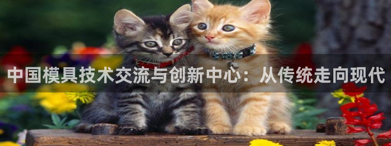 澳门太阳游戏城：中国模具技术交流与创新中心：从传统走向现代