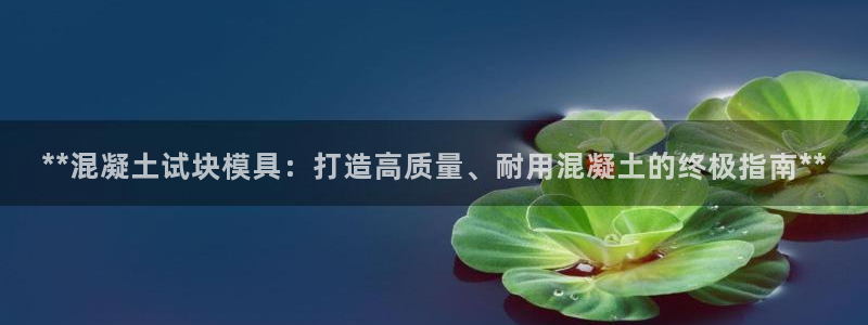 太阳成集团tyc234cc[主页]网：**混凝土试块模具：打