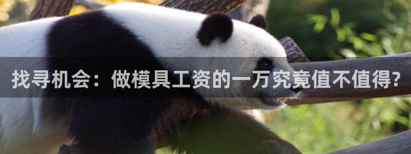 太阳成集团网站取款：找寻机会：做模具工资的一万究竟值不值得?