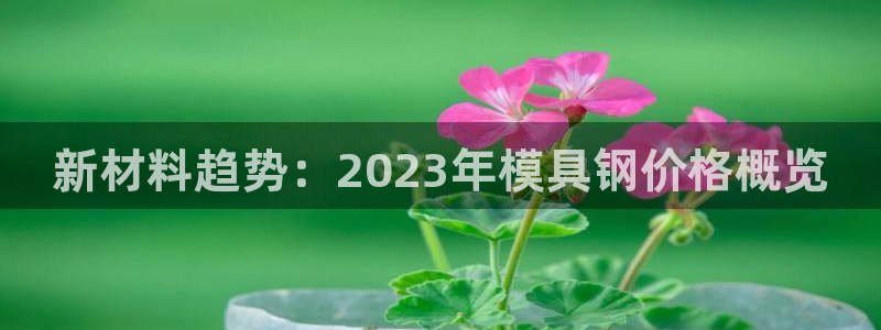 1593太阳集团城所有网址：新材料趋势：2023年模具钢价格